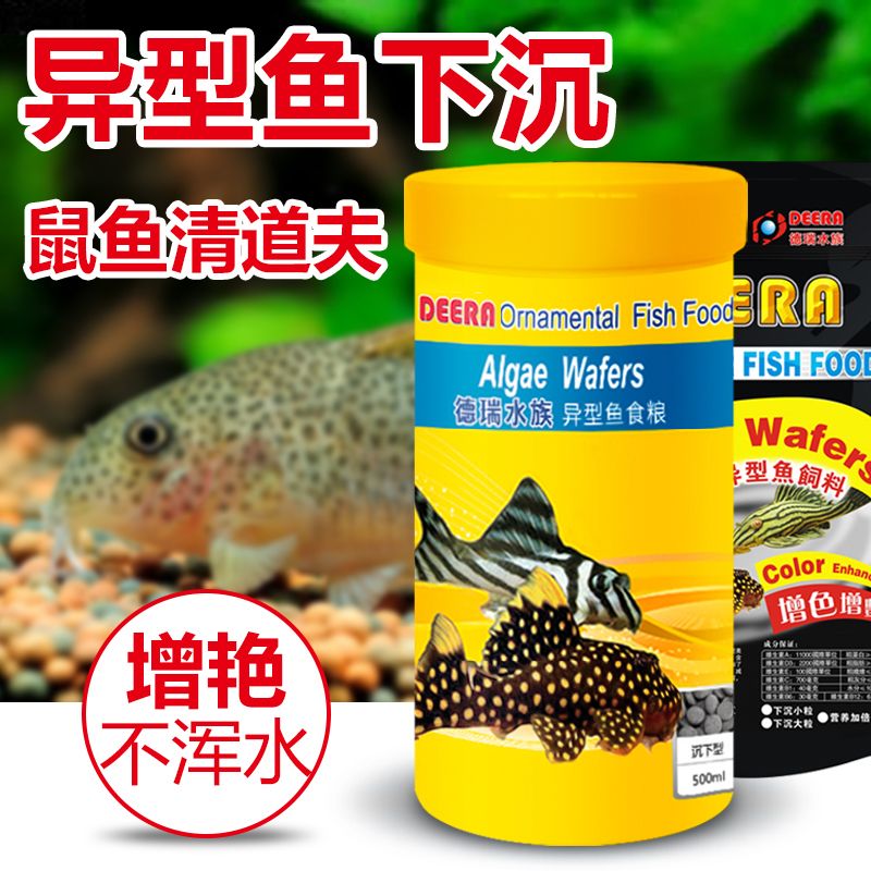 觀賞魚(yú)專用飼料購(gòu)買指南：如何挑選合適的觀賞魚(yú)飼料 觀賞魚(yú)百科 第4張