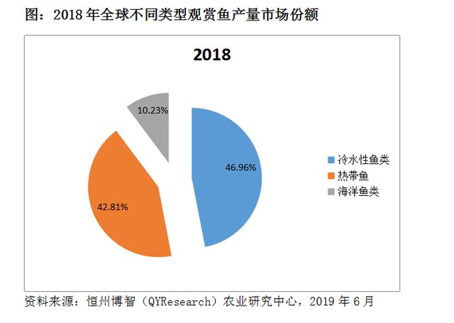 觀賞魚市場(chǎng)流行趨勢(shì)預(yù)測(cè)：觀賞魚市場(chǎng)發(fā)展趨勢(shì) 觀賞魚百科 第4張