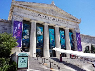 黃石水族館：湖北黃石水族館 全國觀賞魚市場 第2張