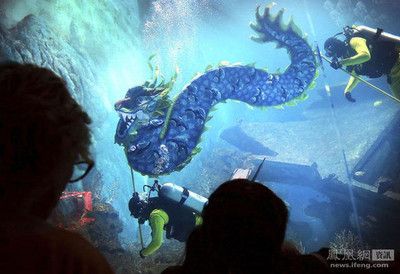 開一個(gè)水族館有前景嗎：開一個(gè)水族館前景如何 水族館百科（水族館加盟） 第4張