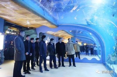 開一個(gè)水族館有前景嗎：開一個(gè)水族館前景如何 水族館百科（水族館加盟） 第5張