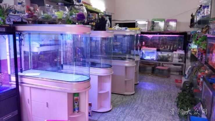 水族館用品批發(fā)：廣州水族館用品批發(fā)價格對比水族館用品批發(fā)詳情介紹