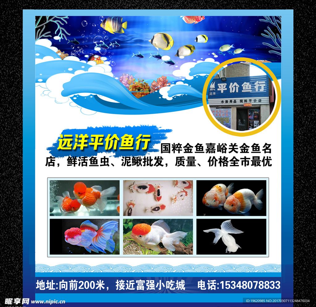 水族館用品批發(fā)：廣州水族館用品批發(fā)價(jià)格對(duì)比水族館用品批發(fā)詳情介紹