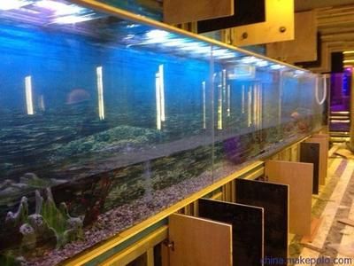 合肥水族批發(fā)市場：合肥水族批發(fā)市場有哪些水族批發(fā)市場有哪些