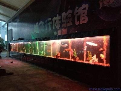 合肥水族批發(fā)市場(chǎng)：合肥水族批發(fā)市場(chǎng)有哪些水族批發(fā)市場(chǎng)有哪些 全國(guó)觀賞魚市場(chǎng) 第3張