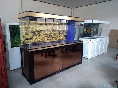 崇左水族批發(fā)市場：崇左水族批發(fā)市場在哪里 全國觀賞魚市場 第5張