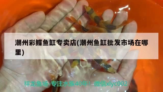 潮州水族批發(fā)市場(chǎng)：廣東潮州水族批發(fā)市場(chǎng) 全國(guó)觀賞魚市場(chǎng) 第6張