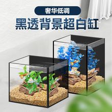 潮州水族批發(fā)市場(chǎng)：廣東潮州水族批發(fā)市場(chǎng) 全國(guó)觀賞魚市場(chǎng) 第12張