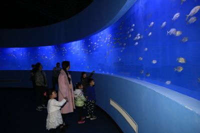 水族館發(fā)展前景：中國水族館行業(yè)發(fā)展趨勢分析 水族館百科（水族館加盟） 第3張