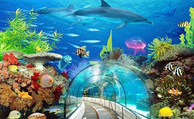 水族館發(fā)展前景：中國水族館行業(yè)發(fā)展趨勢分析 水族館百科（水族館加盟） 第4張