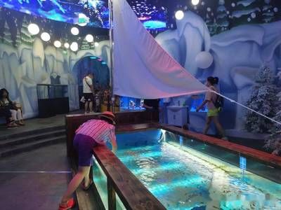 水族館好玩嗎：上海海洋水族館親子活動(dòng)體驗(yàn)項(xiàng)目介紹亞特蘭蒂斯水族館 水族館百科（水族館加盟） 第5張