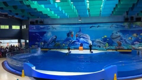 水族館好玩嗎：上海海洋水族館親子活動(dòng)體驗(yàn)項(xiàng)目介紹亞特蘭蒂斯水族館