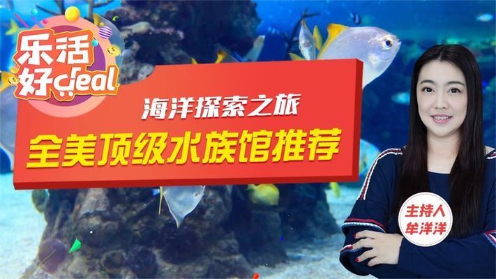 水族館開在什么地方合適一點(diǎn)：選擇合適的水族館開設(shè)地點(diǎn)