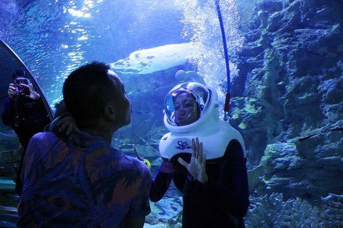 水族館百科：《水族館百科》 水族館百科（水族館加盟） 第4張