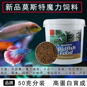 觀賞魚飼料大蒜素作用解析：大蒜素在觀賞魚飼料中的應(yīng)用具有多重益處 觀賞魚百科 第5張