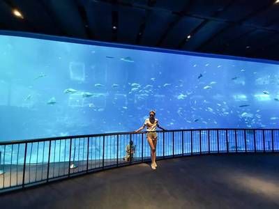 水族館上班工資怎么樣：吳興龍閣水族館為民樂水族館上班工資需要根據(jù)實(shí)際情況進(jìn)行評(píng)估