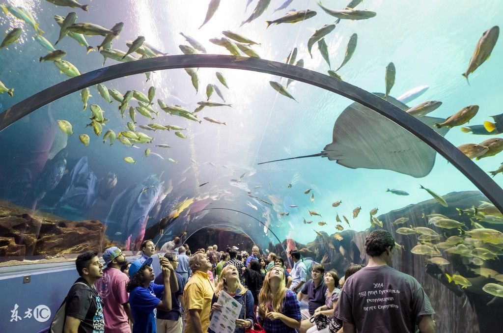 中國水族館排名榜：2018中國水族館排名榜