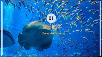 水族館開業(yè)活動方案怎么寫：水族館開業(yè)活動是一項重要事件 水族館百科（水族館加盟） 第3張