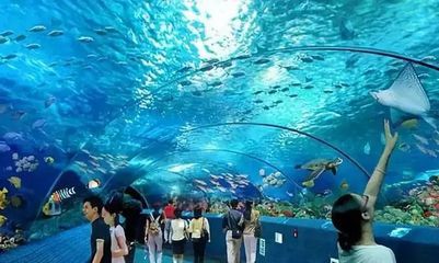 阜陽水族館：安徽省阜陽水族館開館時(shí)間阜陽水族館開館時(shí)間介紹