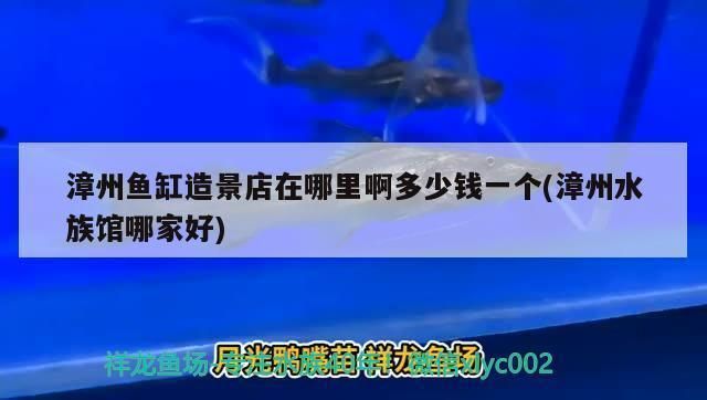 開家水族館掙錢嗎現(xiàn)在多少錢一個(gè)月：開家水族館是否掙錢以及每月能掙多少錢 水族館百科（水族館加盟） 第2張