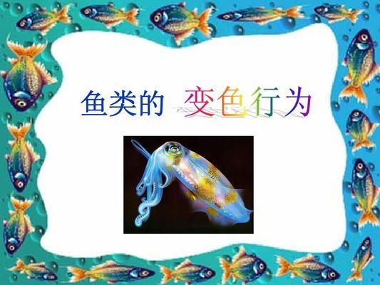 觀賞魚行為學(xué)在生態(tài)保護(hù)中的作用：觀賞魚行為學(xué)在生態(tài)保護(hù)中具有不可忽視的作用和作用 觀賞魚百科 第3張