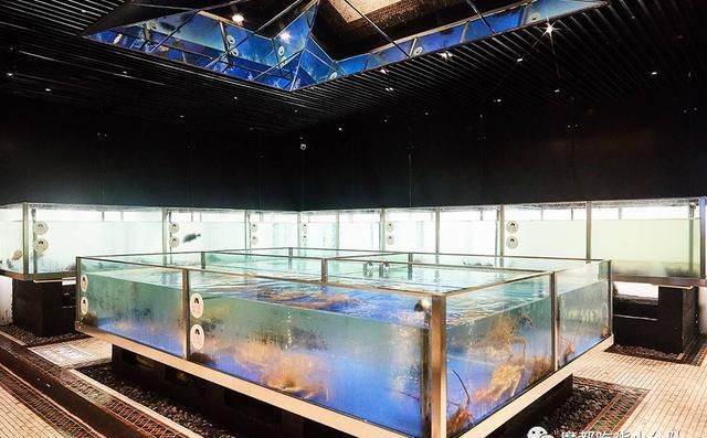 銅川水族館：銅川市銅川新區(qū)星仔水族館 全國(guó)觀賞魚市場(chǎng) 第3張