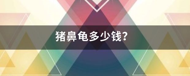 2021年豬鼻龜價(jià)格多少錢(qián)一只呢：2021年豬鼻龜死前的征兆2023年01月09日14:26 豬鼻龜百科 第6張