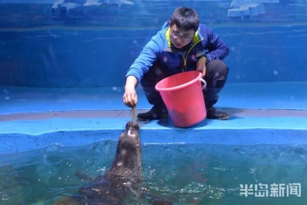 水族館免費(fèi)開(kāi)放嗎現(xiàn)在：關(guān)于水族館免費(fèi)開(kāi)放的一些小知識(shí) 水族館百科（水族館加盟） 第5張