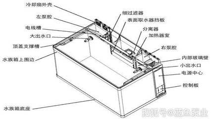 魚缸加熱器怎么用：魚缸加熱器使用步驟和注意事項(xiàng) 魚缸百科 第5張