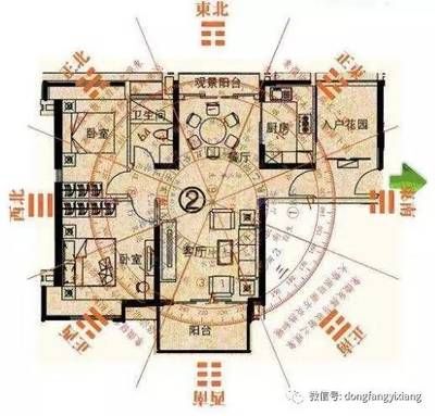 關(guān)于銀龍魚的詩句有哪些：關(guān)于銀龍魚的5個疑問句 水族問答 第2張