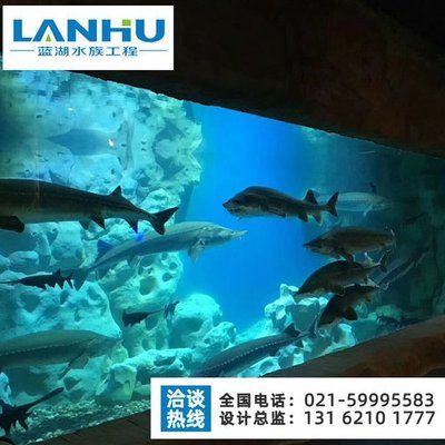 水族館設(shè)計(jì)工程施工：水族館設(shè)計(jì)工程施工的重要性