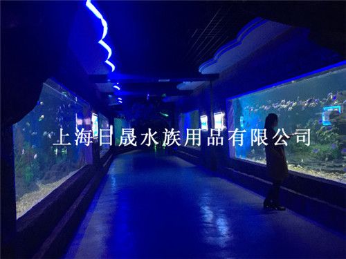 水族館設(shè)計(jì)工程施工：水族館設(shè)計(jì)工程施工的重要性 水族館百科（水族館加盟） 第2張