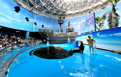 水族館開業(yè)宣傳語朋友圈：水族館開業(yè)大酬賓