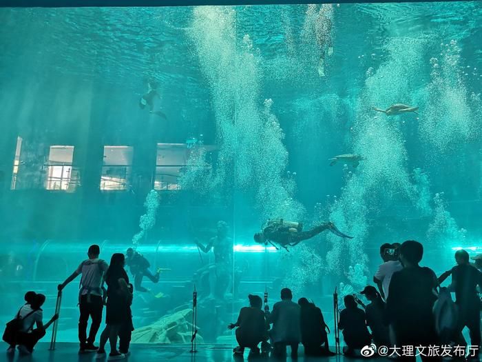 水族館投資大概多少？：開個(gè)水族館需要多少費(fèi)用