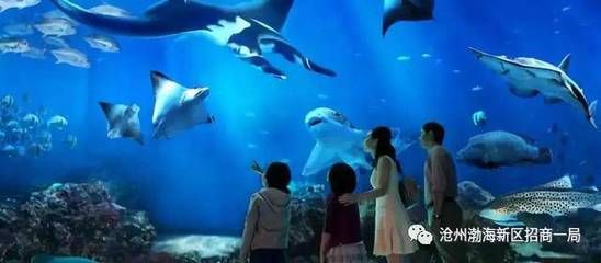 水族館干啥的：水族館是一個專門用于展示和飼養(yǎng)水生生物的場所