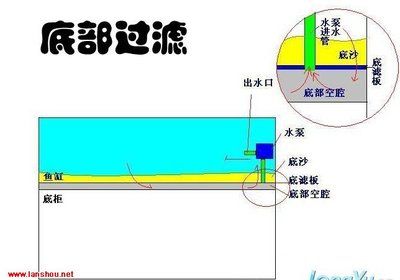 魚缸出水方式有哪些：魚缸出水口如何設(shè)置 魚缸百科 第5張