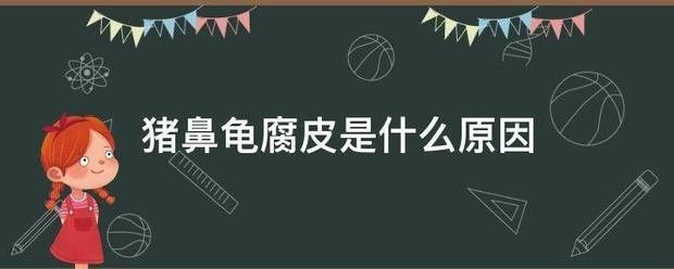 豬鼻龜身上白色腐爛怎么辦：豬鼻龜身上白色腐爛)-豬鼻龜身上白色腐爛的道理 豬鼻龜百科 第6張