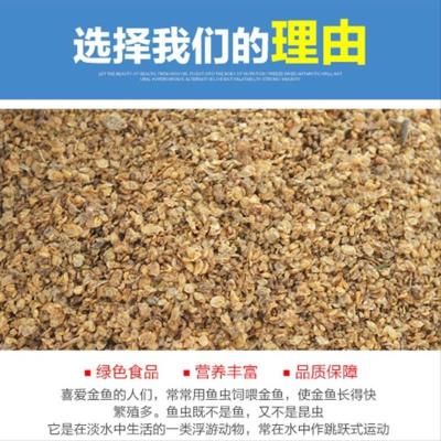 觀賞魚專用飼料選購指南：如何選擇觀賞魚專用飼料 觀賞魚百科 第4張