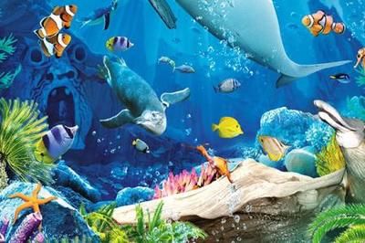 水族館作文100字：水族館親子活動安排,水族館親子活動安排介紹 水族館百科（水族館加盟） 第4張