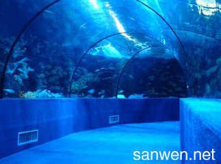 水族館作文100字：水族館親子活動安排,水族館親子活動安排介紹