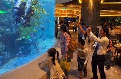 水族館生意怎么樣好做嗎現(xiàn)在：水族館自營旗艦店如何開設(shè) 水族館百科（水族館加盟） 第4張