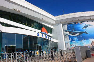 水族館是什么樣子：上海海洋水族館 水族館百科（水族館加盟） 第1張