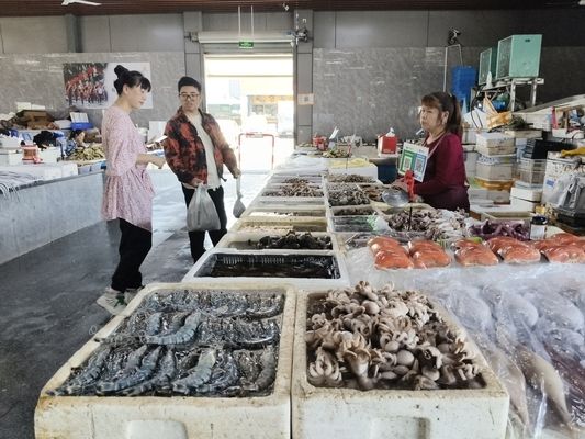 金華觀賞魚批發(fā)市場 全國觀賞魚市場 第2張