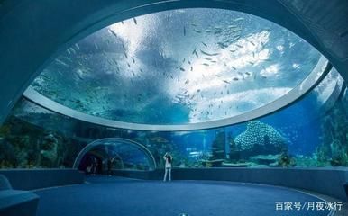 水族館建造費用標準：水族館設計創(chuàng)意案例分享