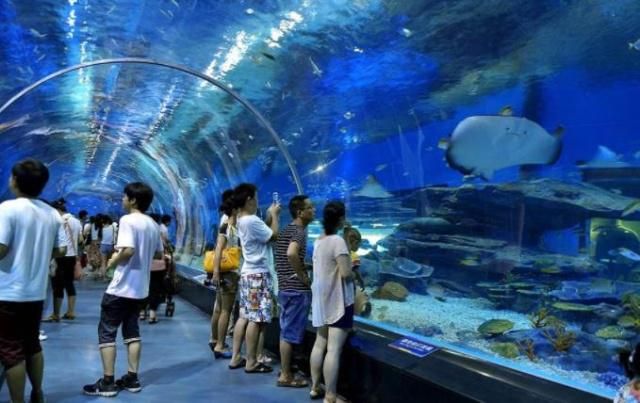 水族館建造費(fèi)用標(biāo)準(zhǔn)：水族館設(shè)計(jì)創(chuàng)意案例分享 水族館百科（水族館加盟） 第4張