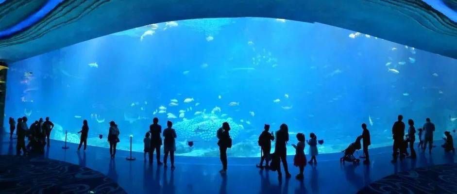 通化水族館：通化市二道江區(qū)好運(yùn)來生態(tài)水族館 全國觀賞魚市場 第6張