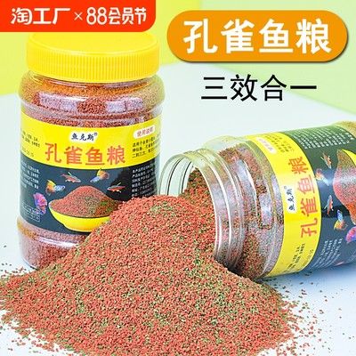 觀賞魚專用魚食推薦：觀賞魚專用魚食品牌排行