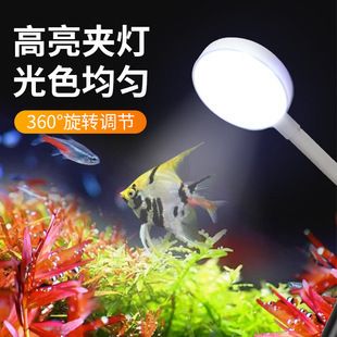 小型魚缸燈：小型魚缸燈品牌性價(jià)比對比魚缸燈品牌性價(jià)比對比 魚缸百科 第2張