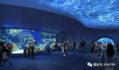 淮安水族館：淮安貝殼酒店 全國觀賞魚市場(chǎng) 第2張