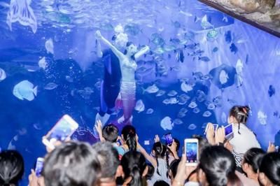 淮安水族館：淮安貝殼酒店 全國觀賞魚市場(chǎng) 第3張